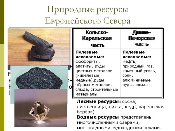 Природные ресурсы Европейского севера России